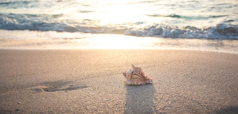 Tranquil Beach Getaway